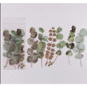 1 Paket - Okaliptus Yaprağı Sticker