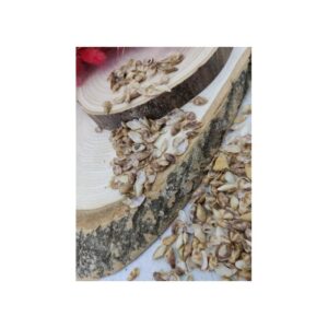 Denız kabuğu - 25 gr