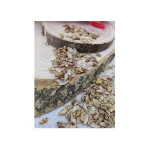 Denız kabuğu - 25 gr