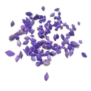 Deniz Kabuğu - Mor 25 gr