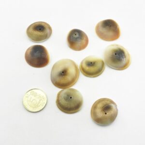 Deniz Kabuğu Ürünü Ortadan Delik 25gr paket