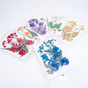 Turuncu Kuru  Çiçek  Papatya Dal Cipso Set